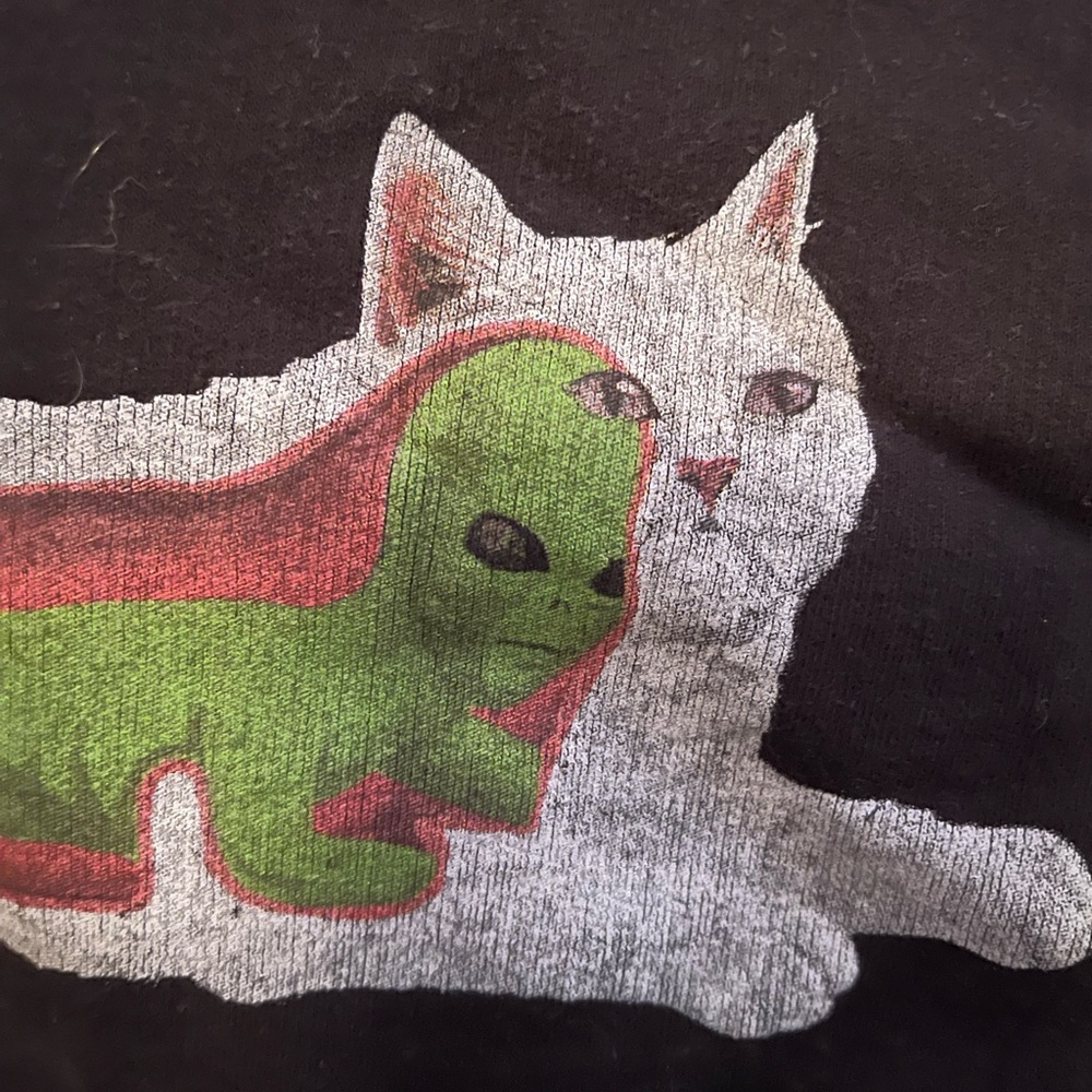 Cat sweatshirt